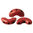 Opaque Coral Red Bronze - Arcos® par Puca® - 93200/15496